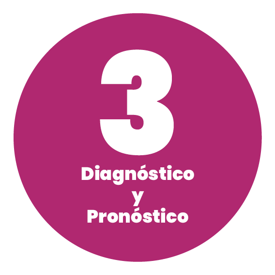 Metodología - 3 Diagnóstico y pronóstico